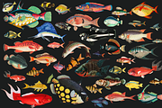 SALE! Collage Art Creator Pack 1400+, an Animal Illustration by Lilithcollageart (Thumbnail 10 of 19)