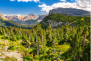 Heavy Runner Mountain and pine, a Nature Photo by Leonid Andronov