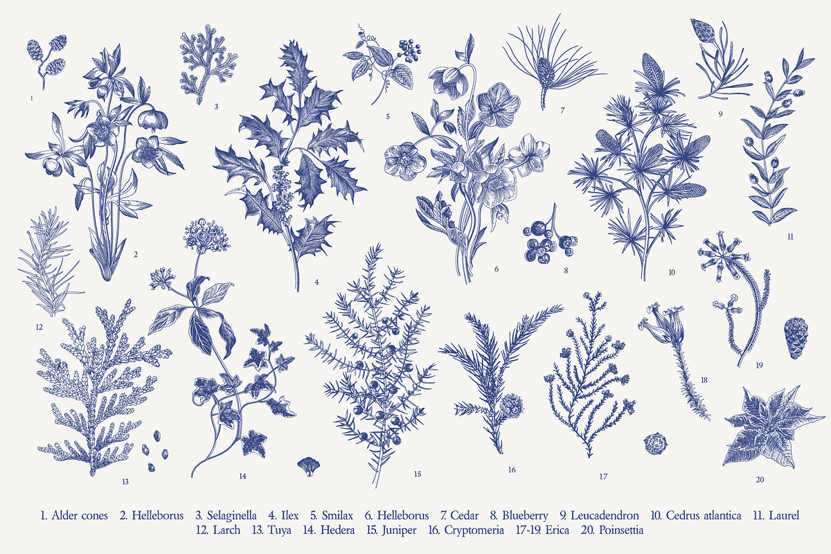 Christmas dreams. Blue & white, a Seasonal Illustration by olga.korneeva (Photo 3 of 12)