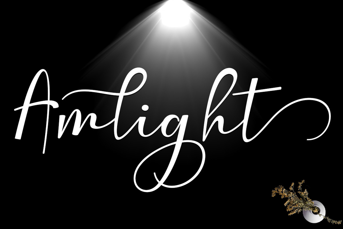 Amlight preview 2