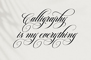 Bridgerton Script, a Script Font by Has_rizal (Thumbnail 15 of 15)