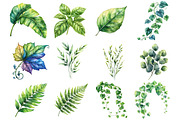 Green Summer Foliage Clipart, an Illustration by Watercolor design (Thumbnail 3 of 10)
