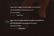 SA Granada Retro Serif Font, a Serif Font by Artcoast Std. (Thumbnail 2 of 5)