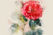 Watercolor Roses Vintage Overlays, an Illustration by ephemoire (Thumbnail 5 of 8)