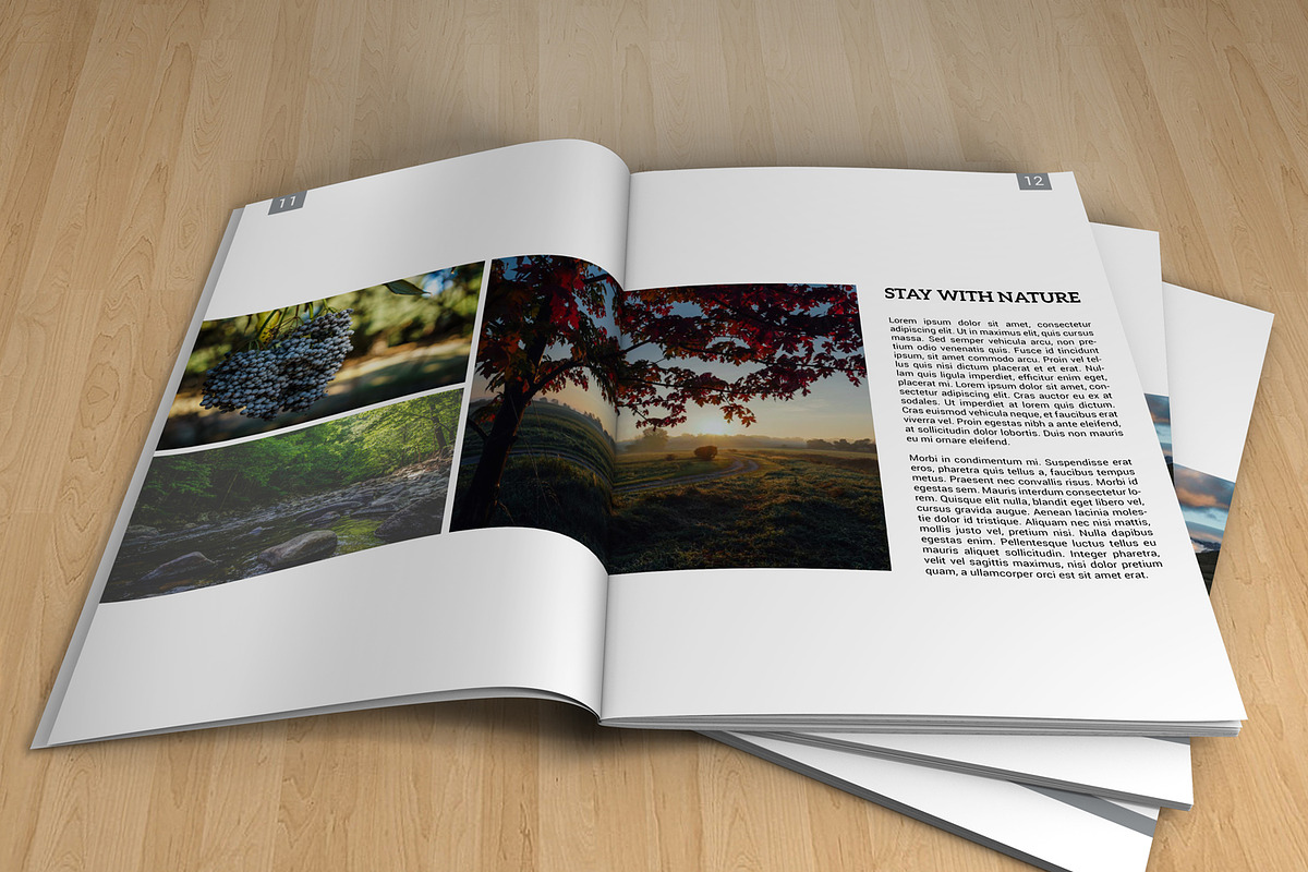Photographer Portfolio Brochure-V313, a Brochure Template by Template Shop (Photo 6 of 12)