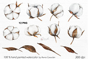 Cotton Plant Watercolor, an Object Illustration by CaraulanStore (Thumbnail 8 of 10)
