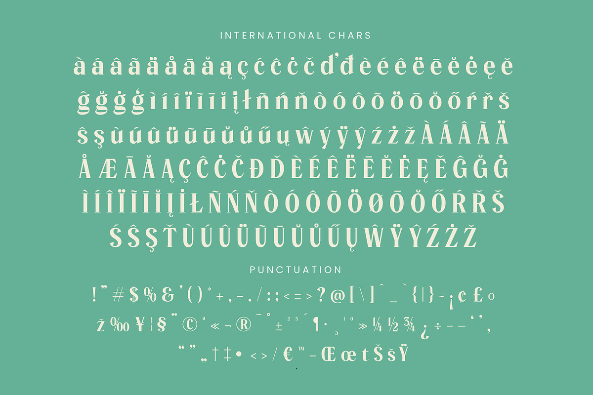 Manica Modern Editorial Serif, a Serif Font by timelesstype.co (Photo 18 of 20)