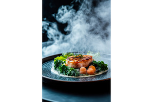 Elegant cuisine grilled salmon with, an Arts & Entertainment Photo by Lermont51