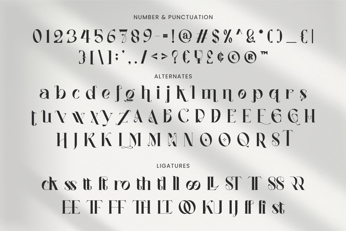 Vagues Elegant Serif, a Serif Font by Creatype Studio (Photo 7 of 10)