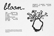 Floral Series Bundle: All 5 in 1, an Object Illustration by Veyla (Thumbnail 14 of 46)