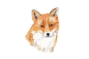 Watercolor Fox Illustration, an Animal Illustration by Foxery Digital (Thumbnail 2 of 5)