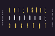 Langella Tall Font Family (16 Fonts), a Sans Serif Font by alpercakici (Thumbnail 3 of 16)
