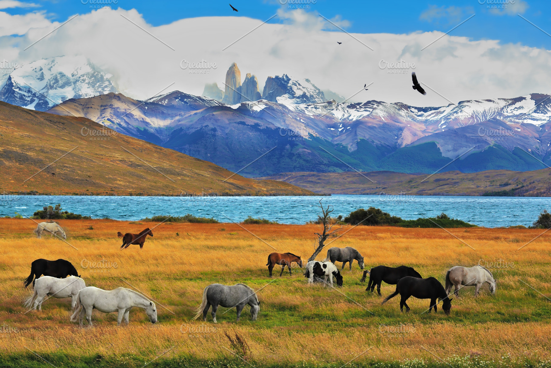 Magical landscape, a Nature Photo by kavram