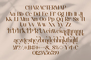 Venume || Modern Minimalist Serif Fo, a Serif Font by Ermedia Studio (Thumbnail 10 of 10)