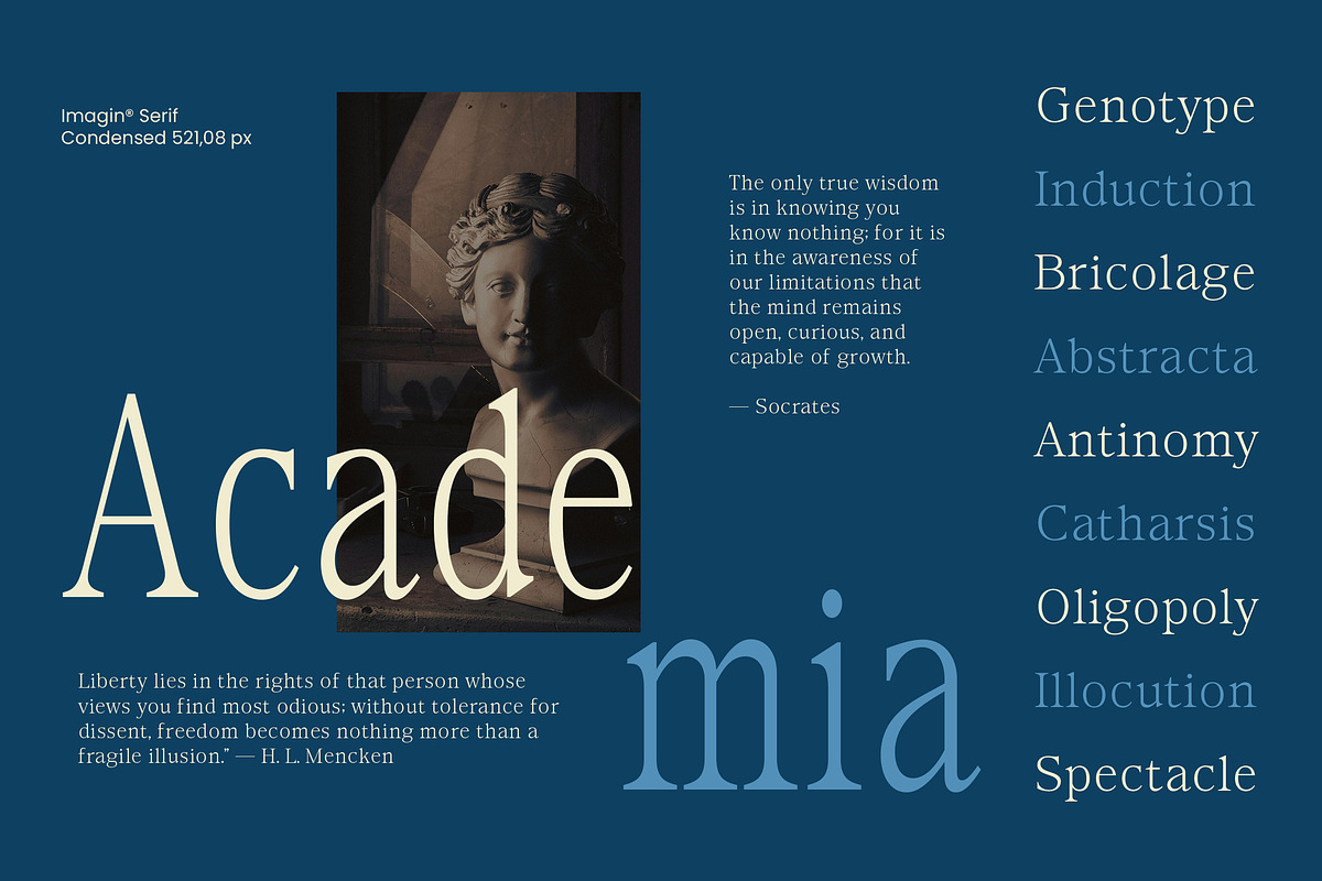 Imagin, a Serif Font by Dora Typefoundry (Photo 3 of 10)