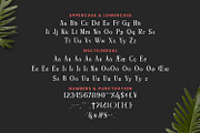 Reberry Font, a Script Font by Runsell Studio (Thumbnail 5 of 5)