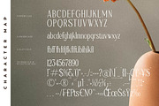Safilms Crawford Modern Serif Font, a Serif Font by Storytype Studio (Thumbnail 13 of 15)