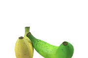 Bananas, a Food & Drink 3D Model by AndrewWhite (Thumbnail 3 of 11)