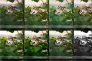 29 Lightroom Presets OH HAPPY DAYS!, an Action Add-On by Les Hirondelles Ph (Thumbnail 8 of 11)