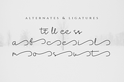 Cantika Signature Script Font, a Script Font by Artiveko (Thumbnail 3 of 10)