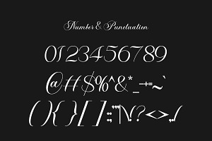 Classical Script Retro Font