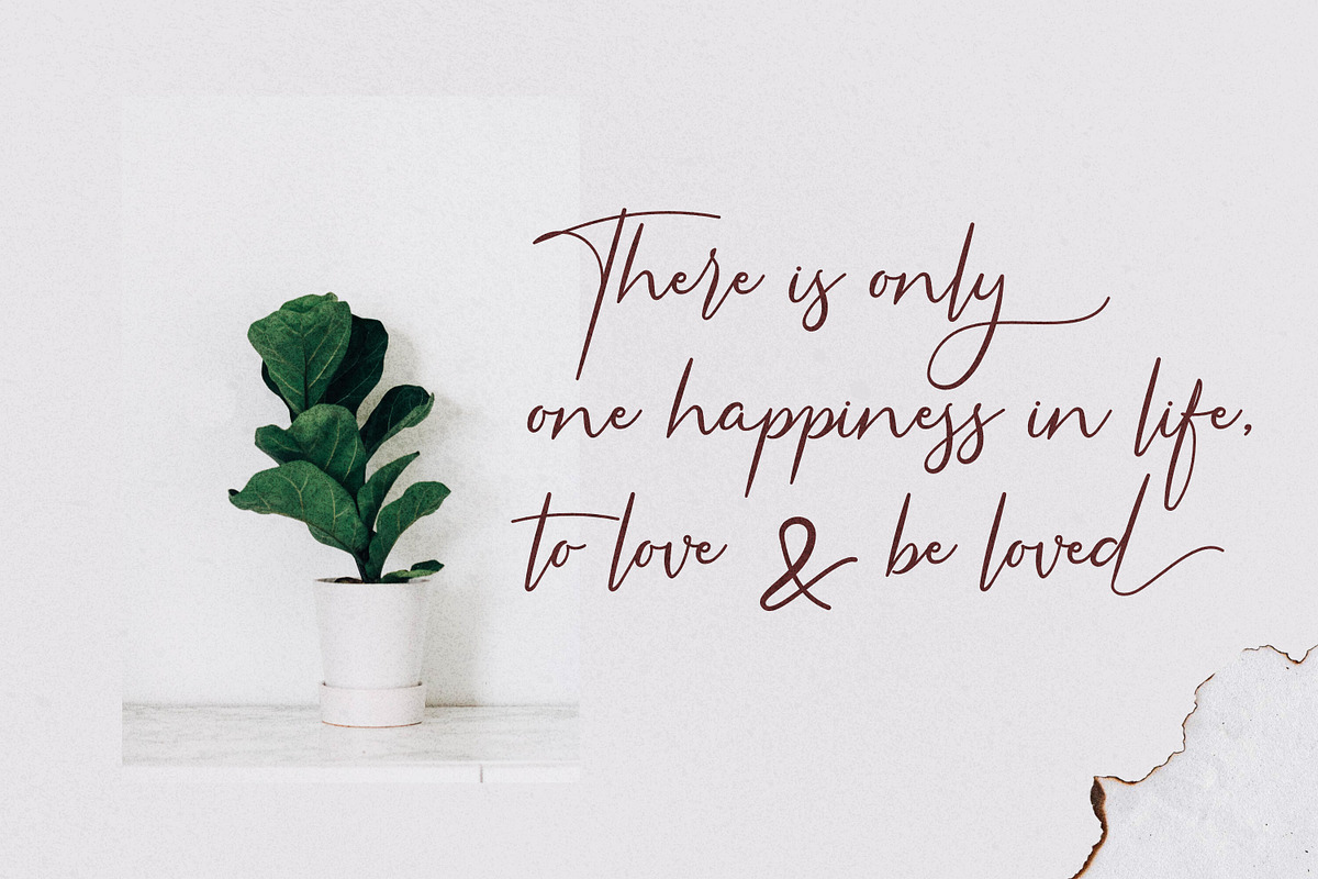 Americans Classy - Stylish Script, a Script Font by Almarkhatype (Photo 4 of 12)