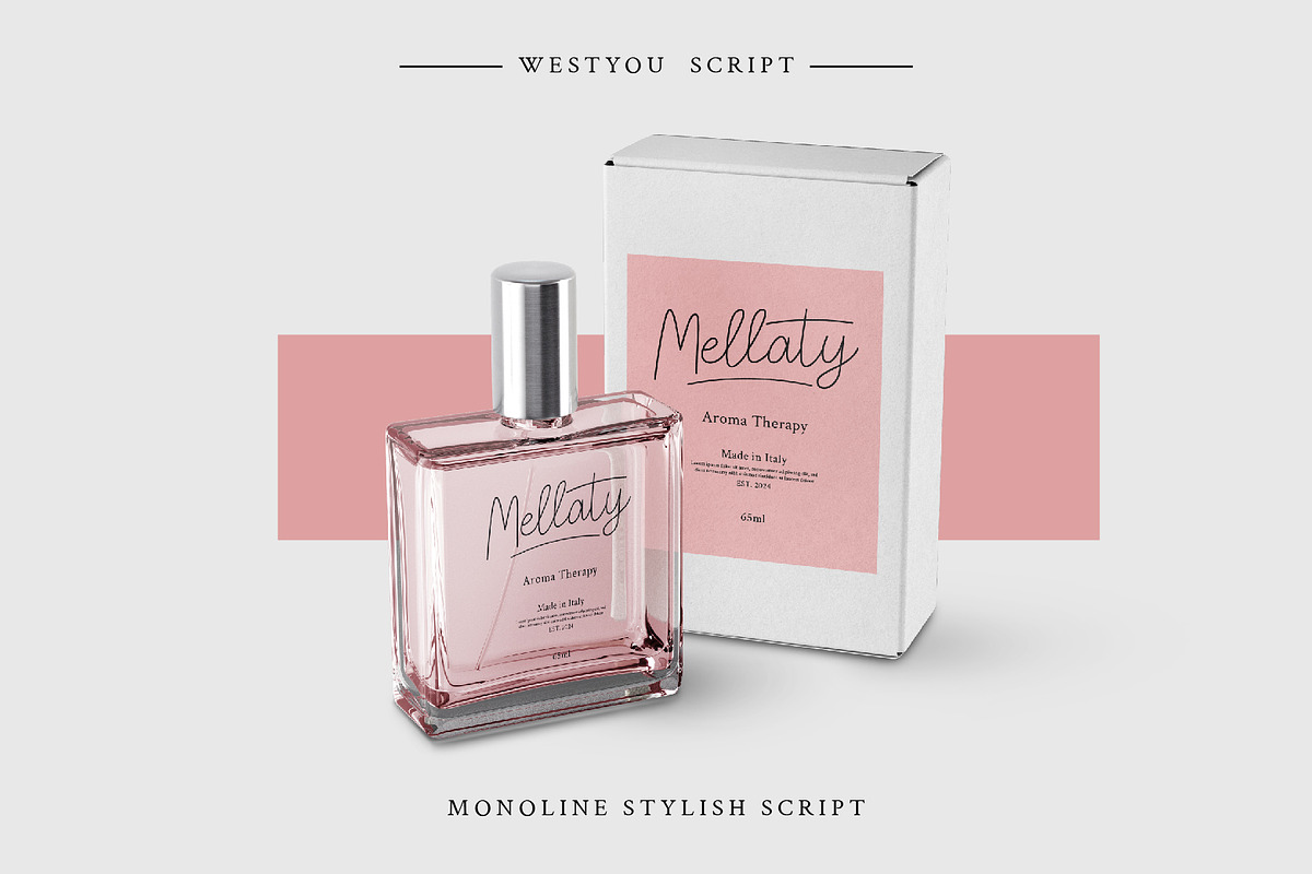 Westyou - Script Monoline, a Font by Hasbi Creative (Photo 7 of 11)