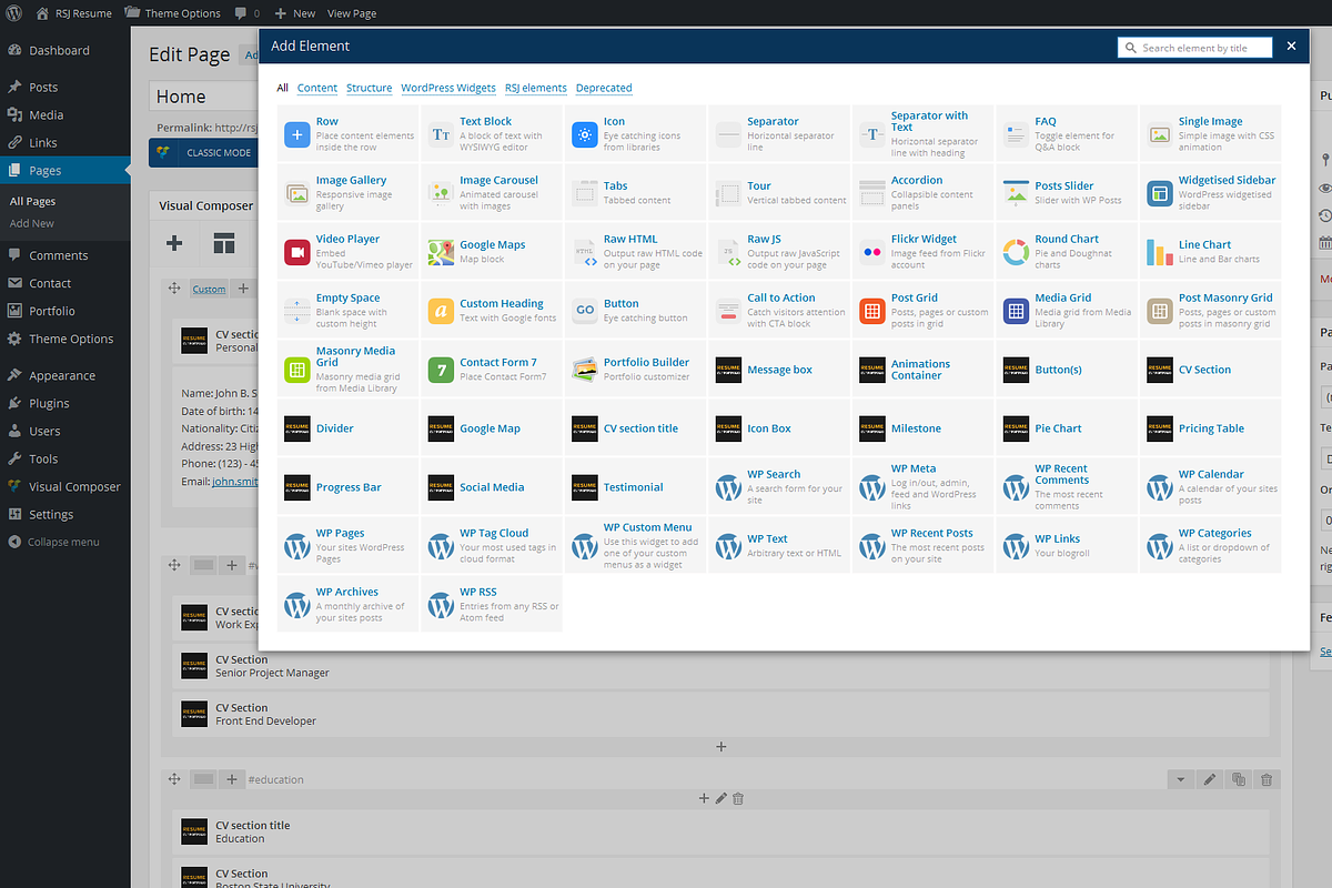 RSJ Resume - CV / Portfolio WP Theme, a WordPress Template by europadns (Photo 8 of 9)