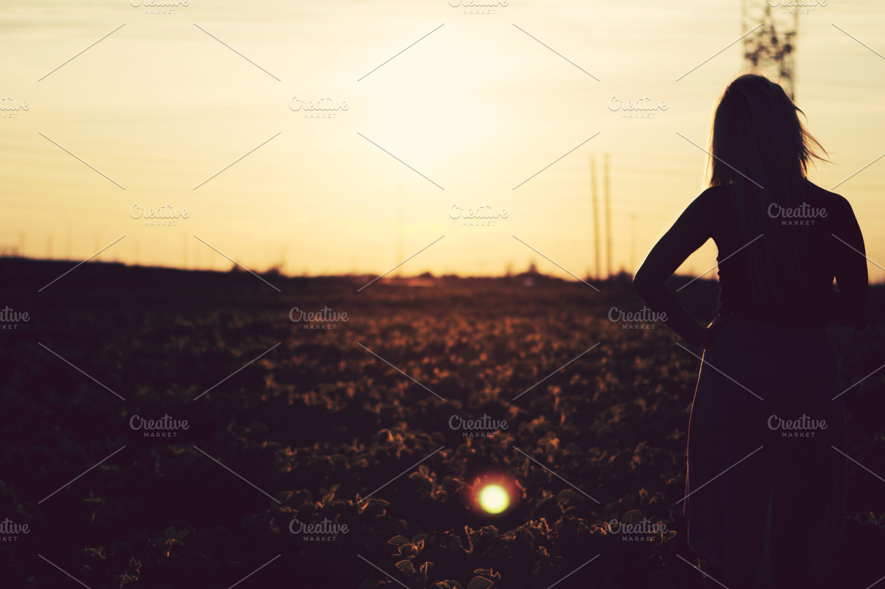 Silhouette Sunset