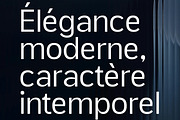 Glass Edge – Modern Corporate Logo, a Sans Serif Font by Lettertype Studio (Thumbnail 3 of 10)