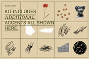 PRESSED BLOOMS Floral Cutouts, an Object Graphic by Desert Poetic (Thumbnail 7 of 7)