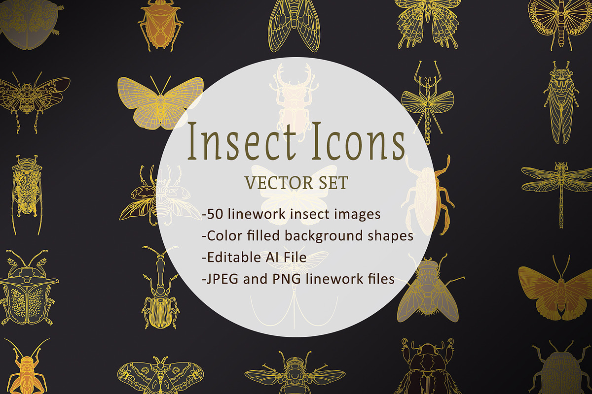 Vector Insect Icons, an Outline Icon by The Curio Cabinet (Photo 1 of 3)