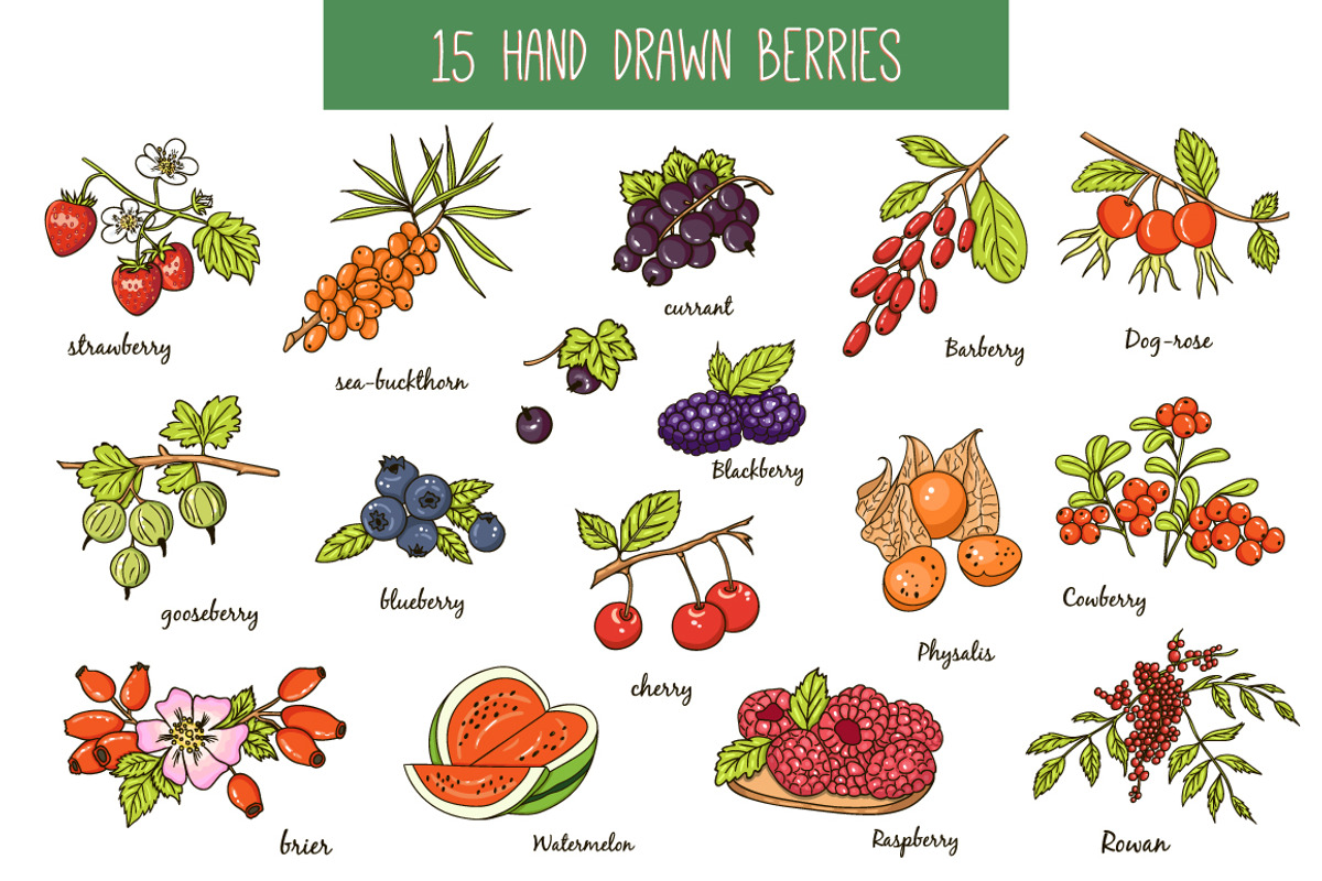 Collection of berries with pattern, an Object Graphic by Tatti Graphic Studio (Photo 2 of 3)