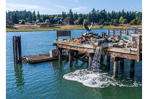 Unusual rock garden on Swinomish, a Nature Photo by Backyard Stock