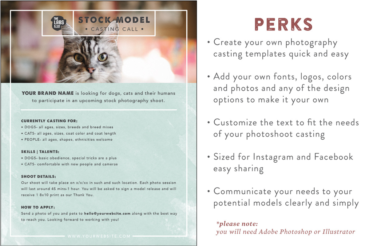 Stock Photography Casting Template, a Templates & Theme by The Labs & Co. (Photo 2 of 4)