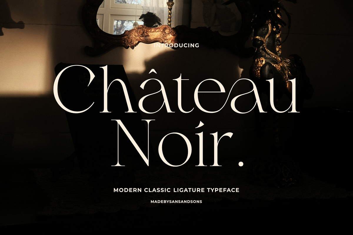 SNS - Chateu Noir, a Serif Font by Sans & Sons (Photo 1 of 9)