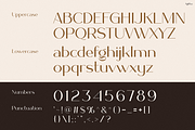 Agitha, a Serif Font by Pinisi ART (Thumbnail 2 of 10)