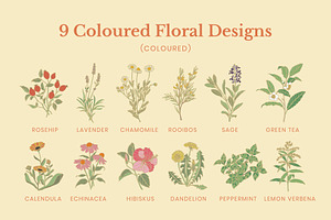 Tea Herb Illustrations Patterns