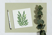 25 Leaves Foliage Leaf Nature Plant, a Decorative Illustration by jongcreative (Thumbnail 5 of 7)