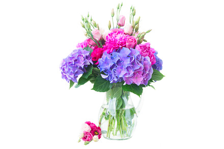 Bright pink and blue flowers, a Nature Photo by Neirfy