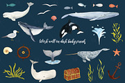 Watercolor Whales Graphics, an Illustration by Kileen Nicole Art (Thumbnail 4 of 5)