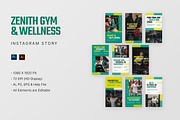 Zenith - Instagram Story, a Social Media Template by StreaksideStd (Thumbnail 1 of 3)