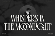 Fragilità - A Retro Ligature Serif, a Serif Font by SilverStag Type Foundry (Thumbnail 24 of 26)