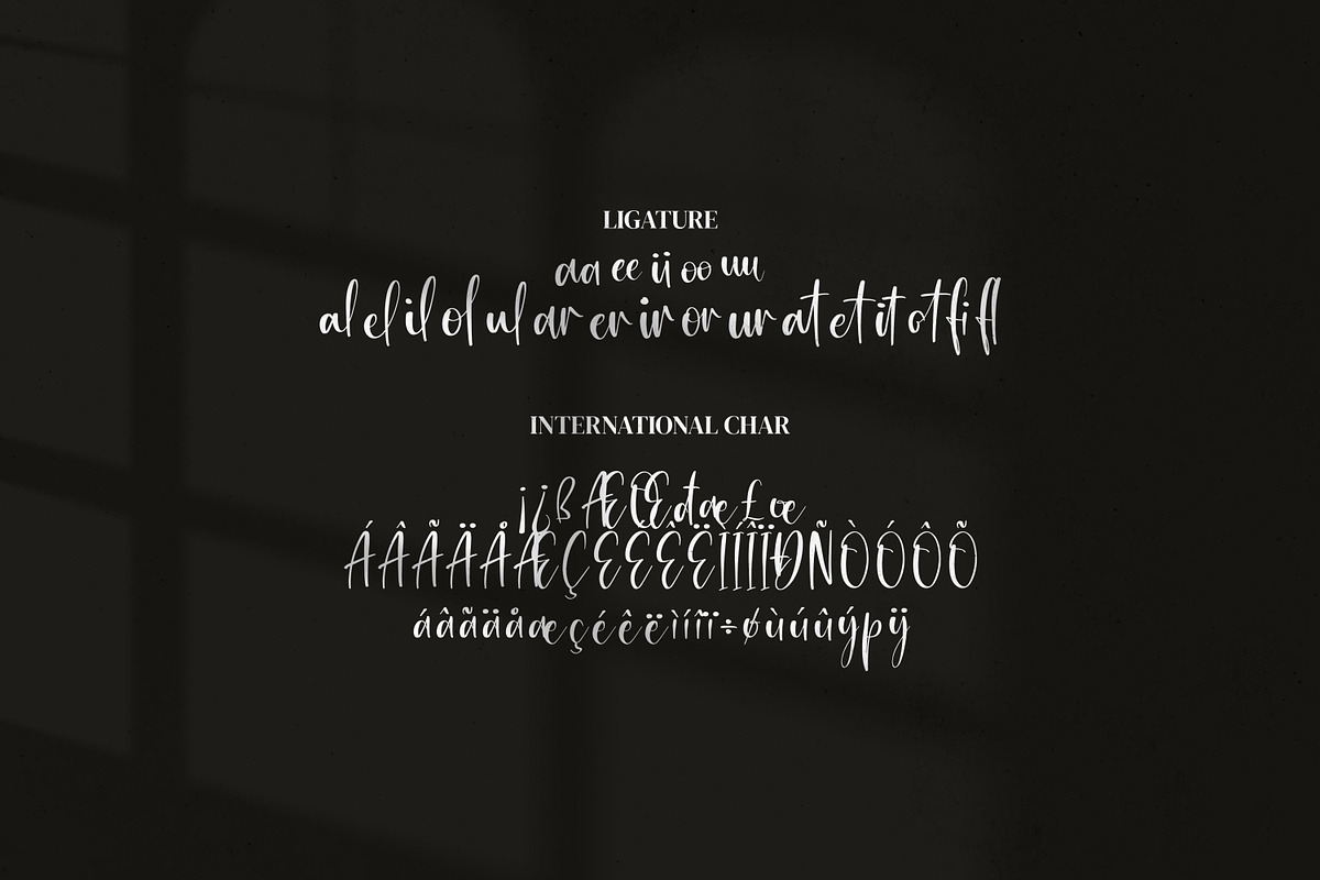 Rossalyta Nataly, a Handwritten Font by Integritype Studio (Photo 9 of 10)