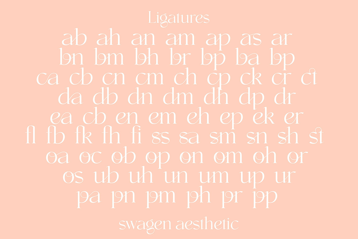 swagen aesthetic, a Serif Font by INKSUN™ (Photo 4 of 9)