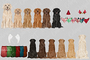 Watercolor Golden Retriever Clipart, an Animal Illustration by ColorfulPT (Thumbnail 2 of 5)