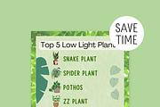 10 Canva Plant Top 5s Instagram Post, a Social Media Template by Emerald Eyes Design (Thumbnail 3 of 5)