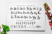 Marliesta Script Font, a Script Font by Megatype (Thumbnail 7 of 8)