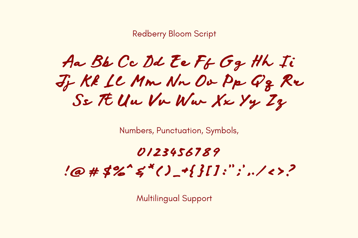 Ophelia Elow Bold Script, a Script Font by etigletters (Photo 10 of 10)
