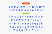 Blinky Kalmie Modern Alternate Serif, a Serif Font by timelesstype.co (Thumbnail 19 of 20)